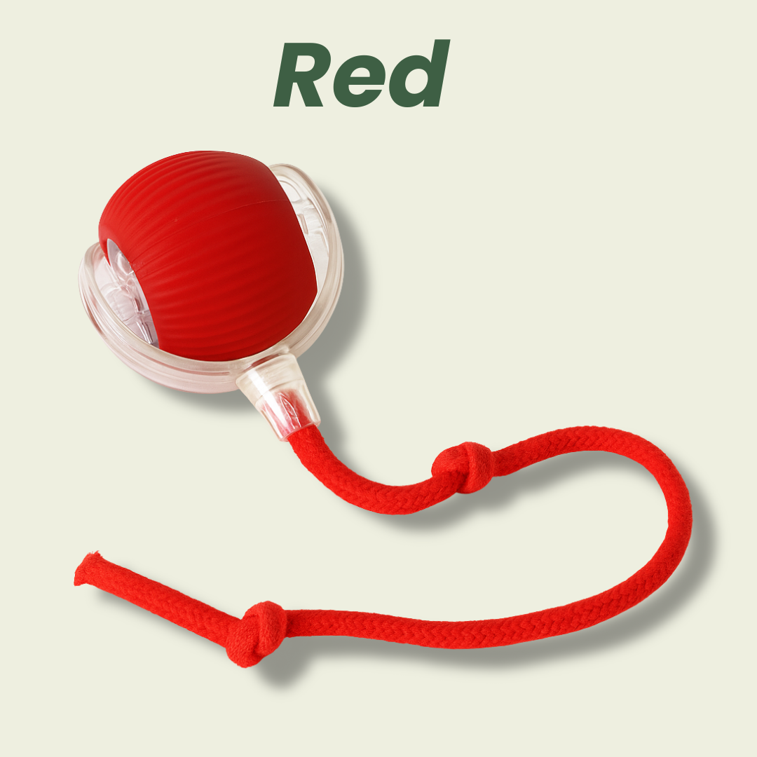 Smart Rolling Pet Toy