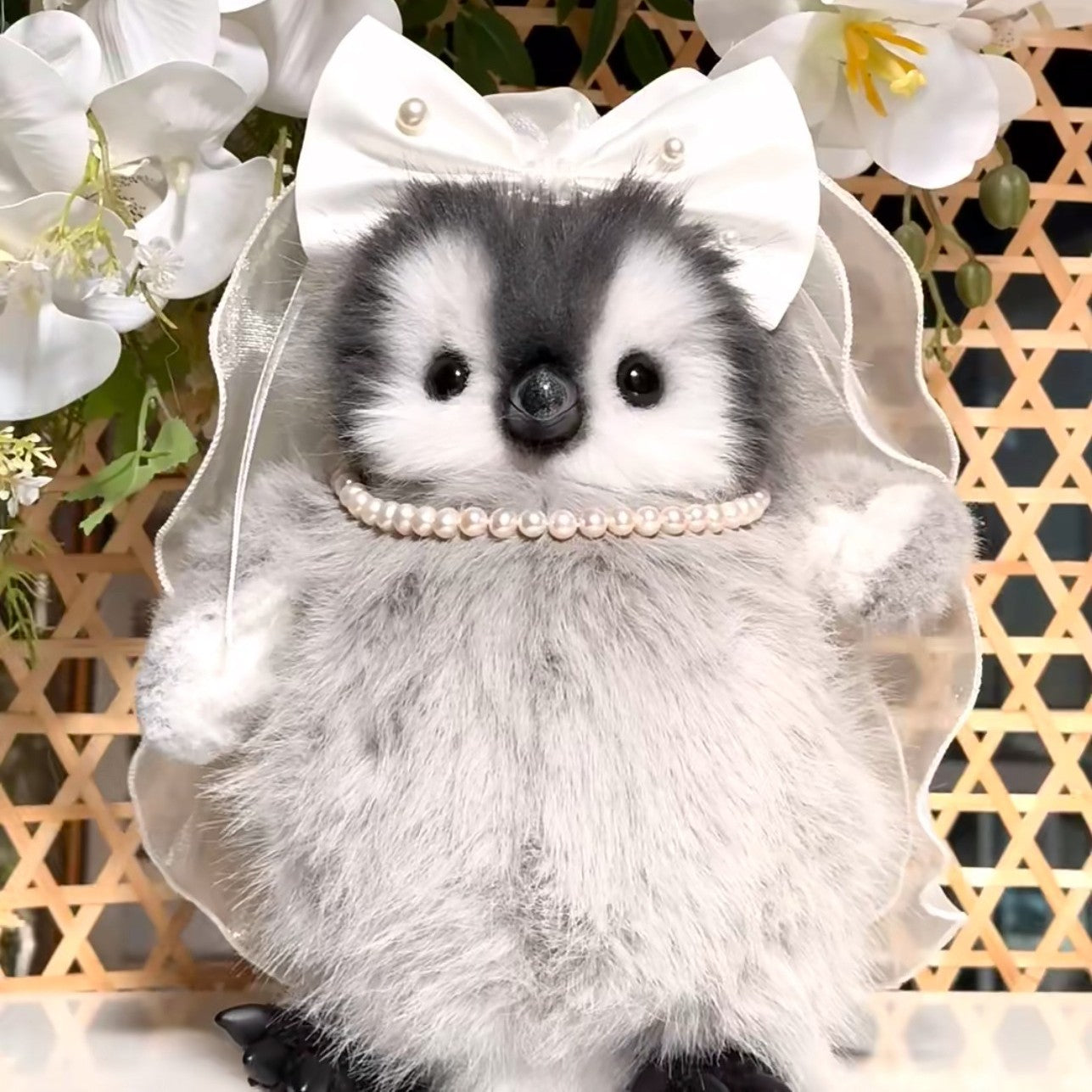 💍Eternity Collection: Polaris Love