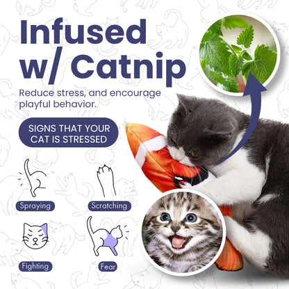 Catnip Electric Jumping Simulation Fish 🐟Cat Toy