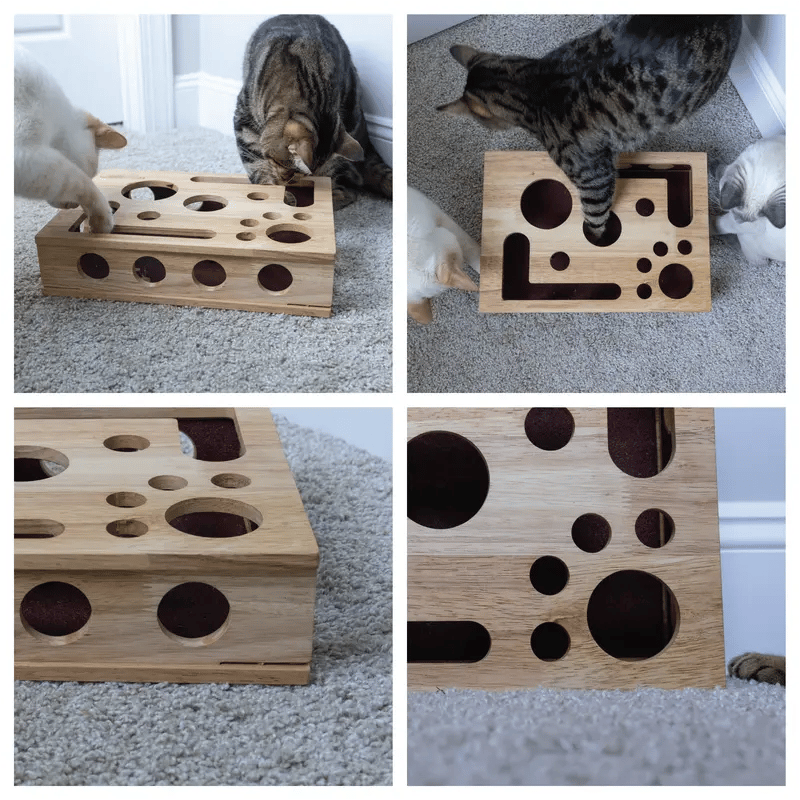 49%OFF 🎁🎄Cat Scratch Puzzle Enrichment Box: Nail File Stress Free Alternative to Clippers and Grinders