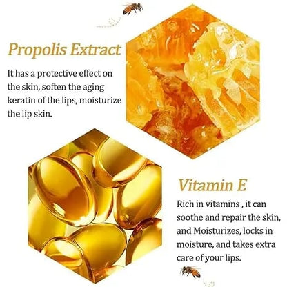 Bee Lip Balm Honey Pot 🍯 | Nourish with Natural Beeswax & Honey 🐝 - A Sweet Little Gift Idea