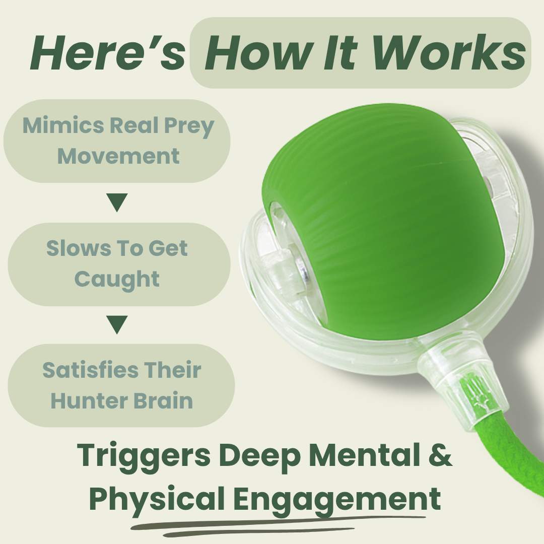 Smart Rolling Pet Toy