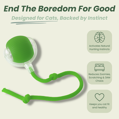 Smart Rolling Pet Toy