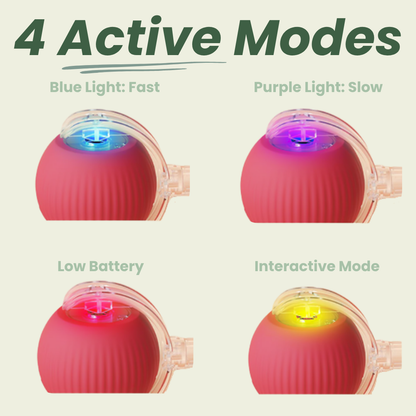 Smart Rolling Pet Toy