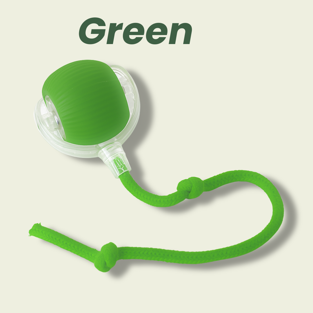 Smart Rolling Pet Toy
