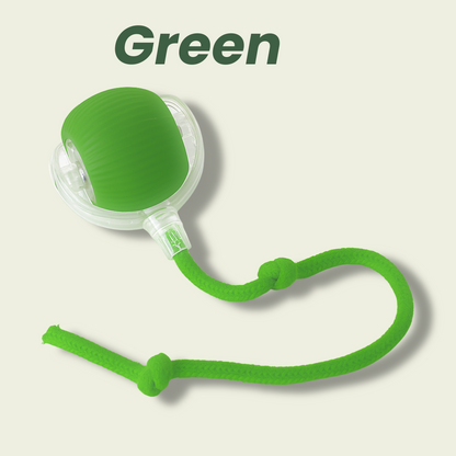 Smart Rolling Pet Toy