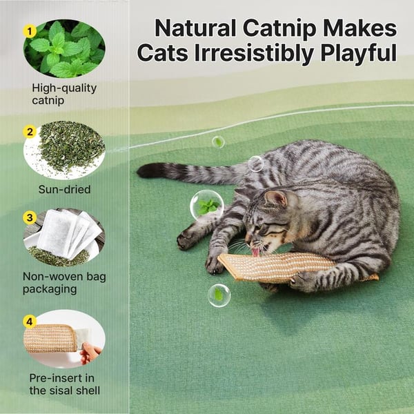 🐱Interactive Catnip Chew Toy