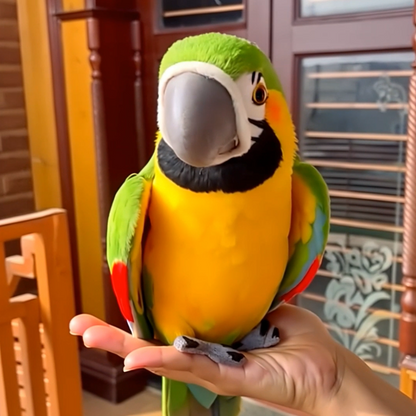 🟣🦜Picotoy- Lifelike Parrot Buddy