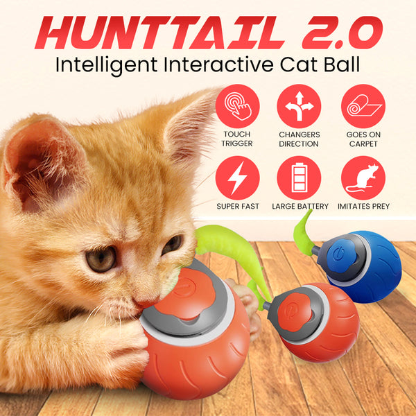 Pet Bounce Ball 2.0