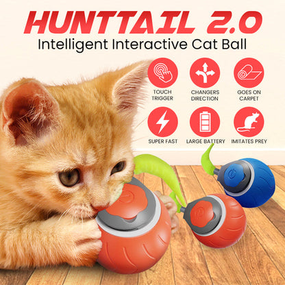 Pet Bounce Ball 2.0