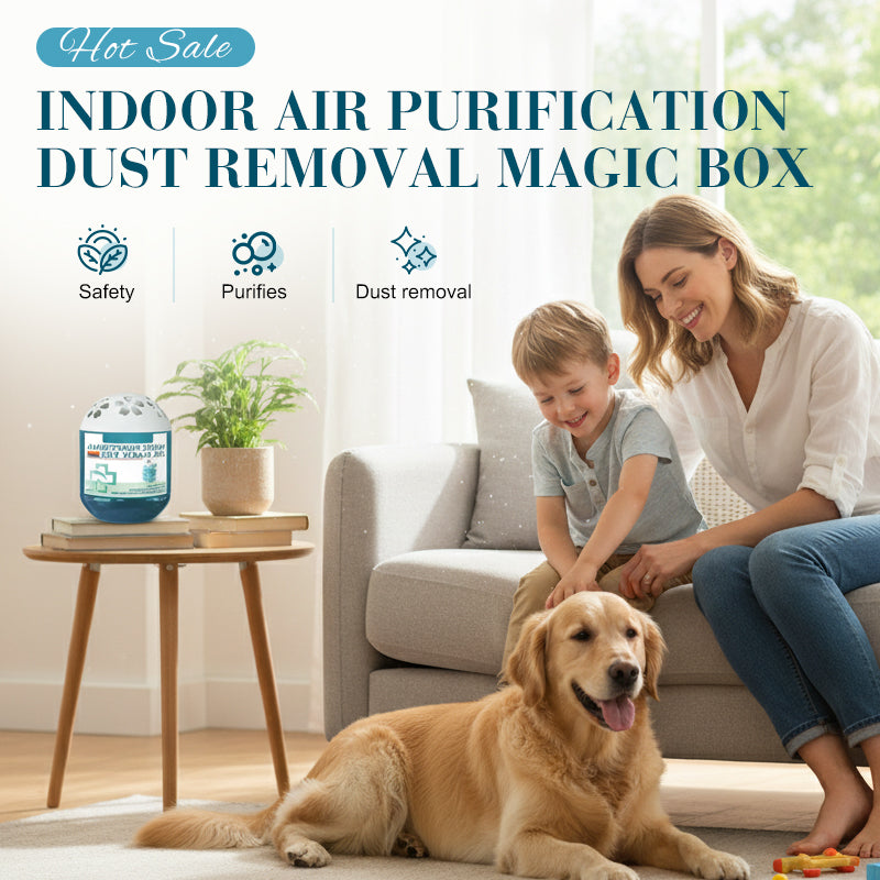 🔥2026 New Collection - Limited-Time Offer⏰Indoor Air Purification Dust Removal Magic Box🏠Bringing health to the family.👵👶